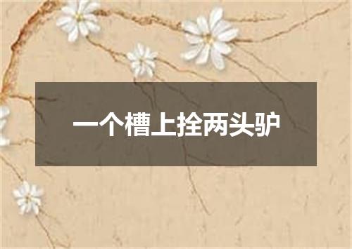 一个槽上拴两头驴