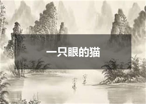 一只眼的猫