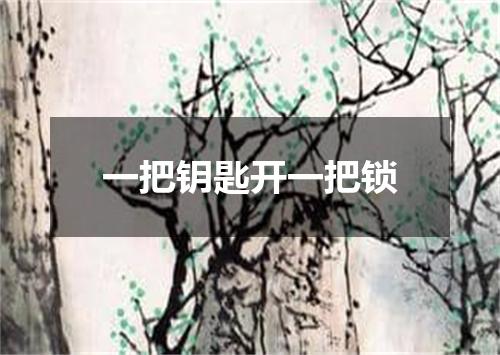 一把钥匙开一把锁