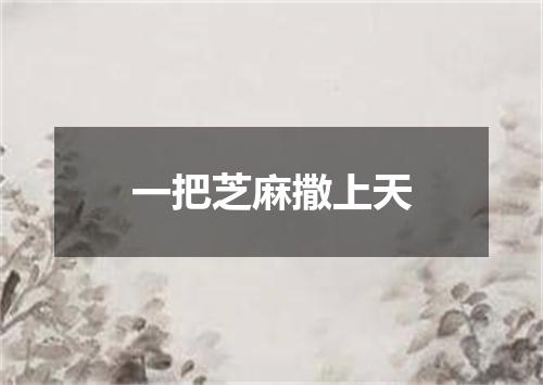 一把芝麻撒上天