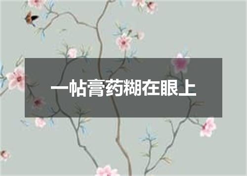一帖膏药糊在眼上