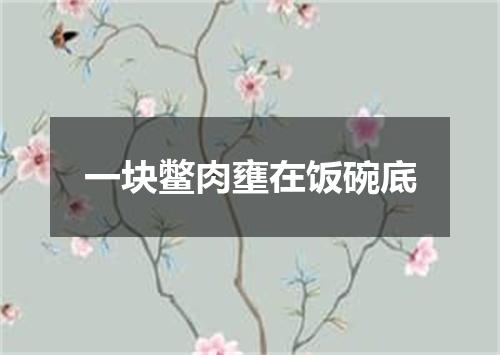 一块鳖肉壅在饭碗底