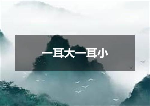 一耳大一耳小
