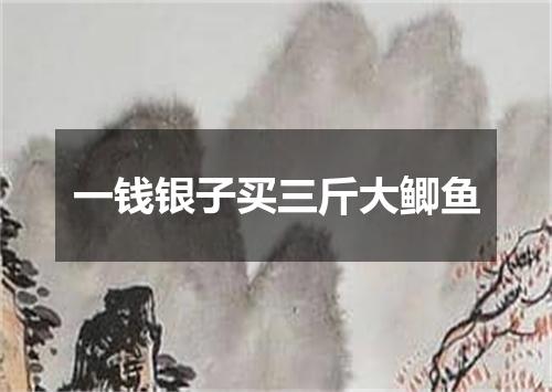 一钱银子买三斤大鲫鱼