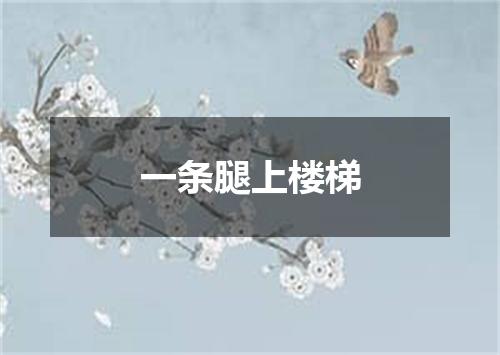 一条腿上楼梯