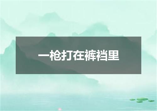 一枪打在裤裆里