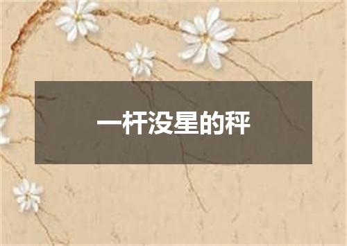 一杆没星的秤