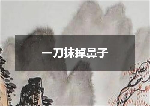 一刀抹掉鼻子