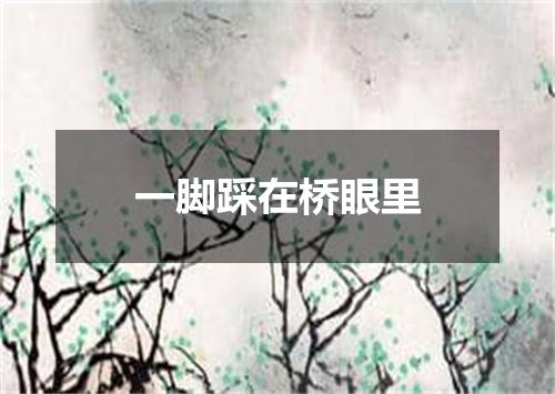 一脚踩在桥眼里