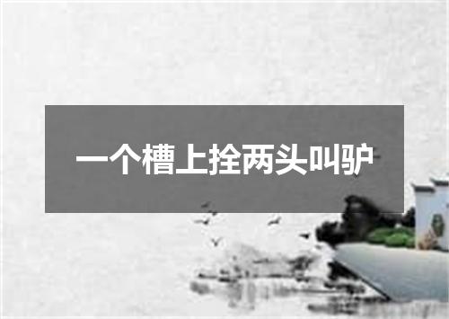 一个槽上拴两头叫驴