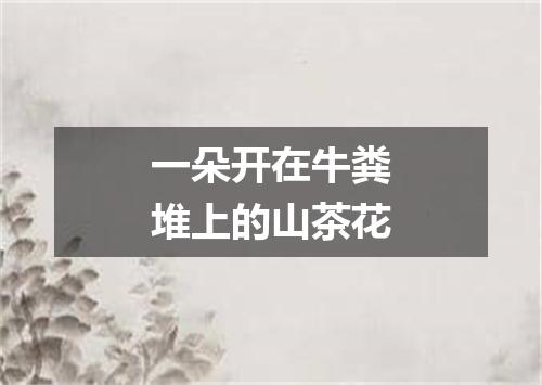 一朵开在牛粪堆上的山茶花
