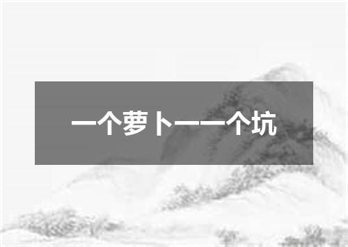 一个萝卜一一个坑