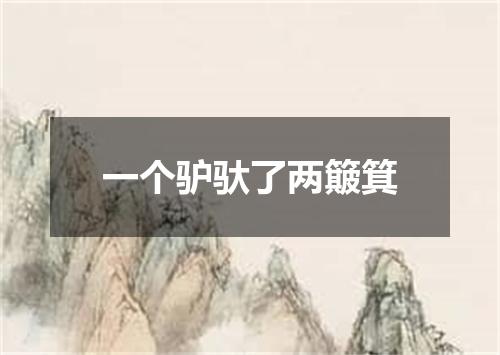 一个驴驮了两簸箕