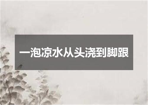 一泡凉水从头浇到脚跟