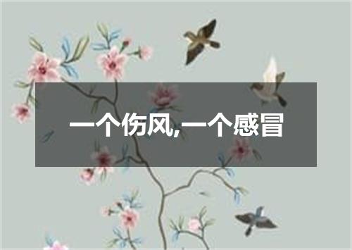 一个伤风,一个感冒