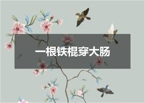 一根铁棍穿大肠
