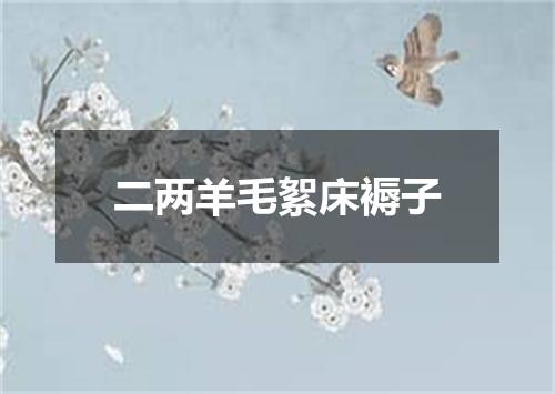 二两羊毛絮床褥子
