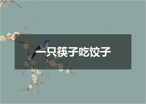 一只筷子吃饺子
