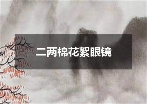 二两棉花絮眼镜