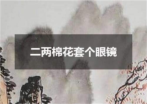 二两棉花套个眼镜