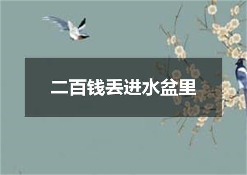 二百钱丢进水盆里