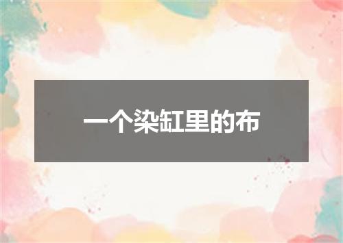 一个染缸里的布