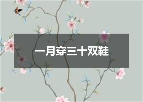 一月穿三十双鞋