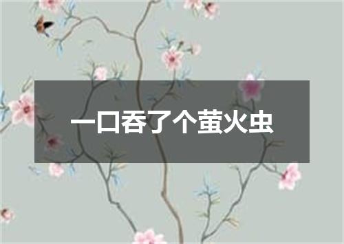 一口吞了个萤火虫