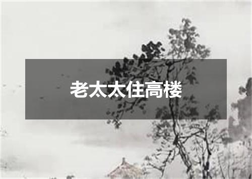 老太太住高楼