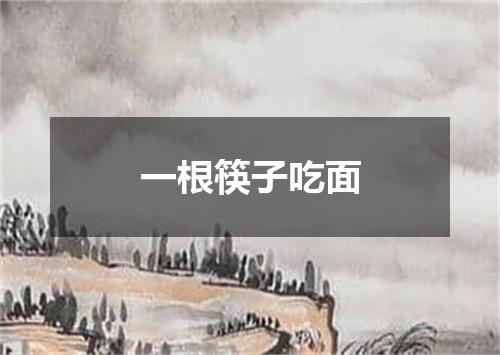 一根筷子吃面