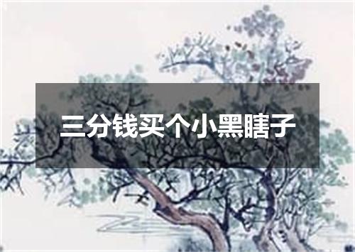 三分钱买个小黑瞎子