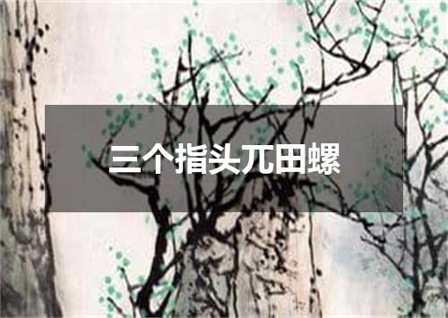 三个指头兀田螺