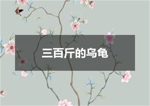 三百斤的乌龟