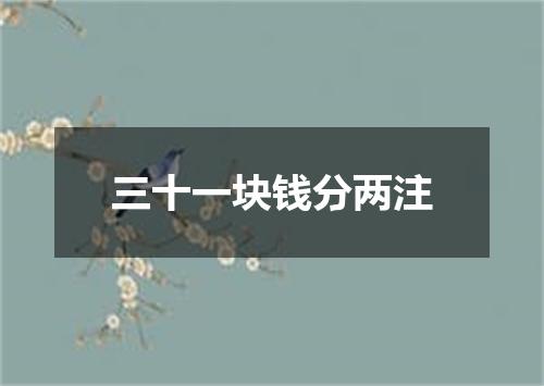 三十一块钱分两注
