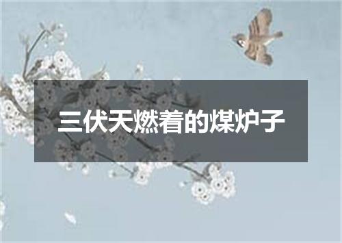 三伏天燃着的煤炉子