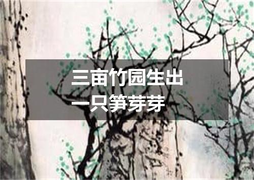 三亩竹园生出一只笋芽芽