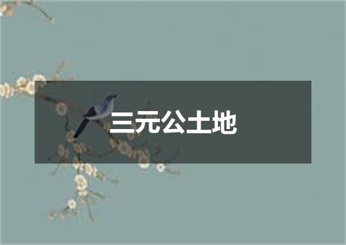 三元公土地