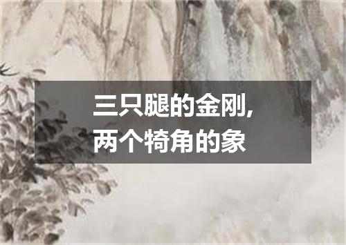 三只腿的金刚,两个犄角的象