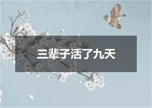 三辈子活了九天