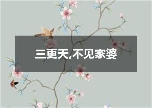 三更天,不见家婆
