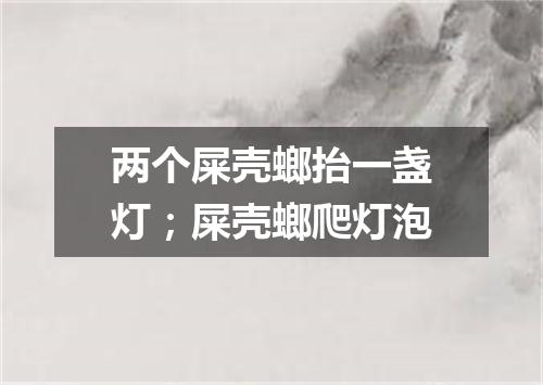 两个屎壳螂抬一盏灯；屎壳螂爬灯泡