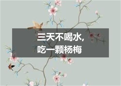 三天不喝水,吃一颗杨梅