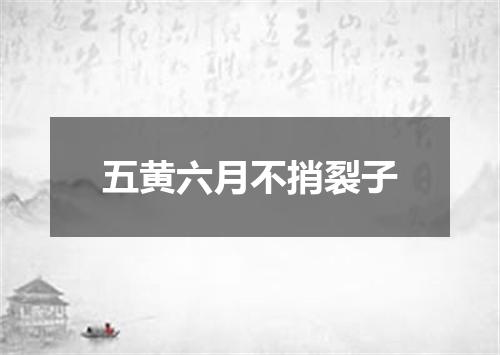 五黄六月不捎裂子