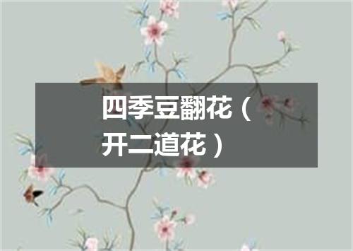 四季豆翻花（开二道花）