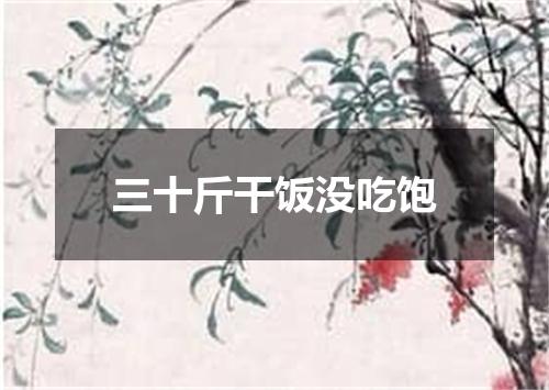 三十斤干饭没吃饱