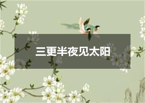 三更半夜见太阳