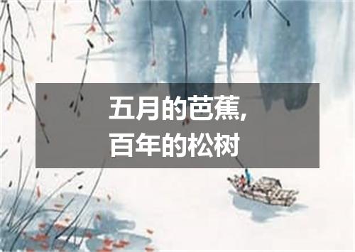 五月的芭蕉,百年的松树
