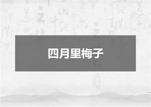 四月里梅子