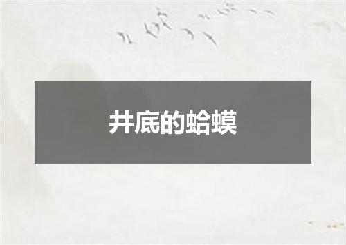 井底的蛤蟆