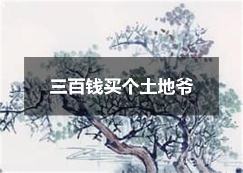 三百钱买个土地爷